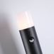 Searchlight Tuinpadverlichting Cannes, hoogte 80 cm, zwart, metaal, sensor