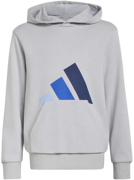 Adidas Essentials Hoodie Grijs 13-14 Jaar Kinderen