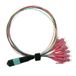VALUE 21.99.1100 InfiniBand en Glasvezelkabel 2 m MPO 12x LC Meerkleurig