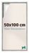 yd Cadre photo 50x100 cm Argent Mat - Cadre pour toile - MDF Lyon