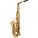 Roy Benson Bb-Tenor Saxofoon TS-202