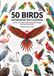 50 Birds Infographic Encyclopedia: Complete Visual Guide to Parrots, Songbirds, Water Birds, Raptors & Exotic Species