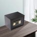 Coffre-fort numérique de 22 L - Coffre-fort ignifuge pour documents pour la protection des objets de valeur