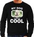 Bellatio Decorations Maltezer Trui / Sweater My Dog Is Serious Cool Zwart - Heren - Maltezers Liefhebber Cadeau