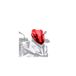 Puig 8543r Racing scherm voor BMW S1000 XR 15 '-17 inch, R