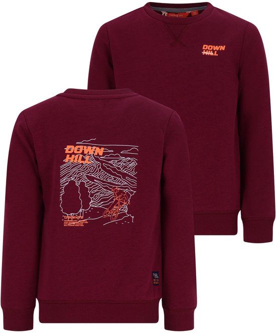 TYGO & vito Sweater Rhododendron - Maat 110-116