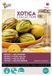 Buzzy Xotica Pepino Meloenpeer Zaden