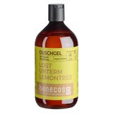 BenecosBIO - Douchegel BIO-Ginger + BIO-citroen - Lost onder LEMONTREE - veganistisch - gerecycled plastic