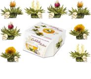 Creano Theebloemvariatie in het exclusieve kopjeformaat "ErblühTeelini" - 8 theebloemen in 4 verschillende varianten (witte thee)