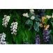 Papier peint panoramique fleurs 195 cm x 130 cm