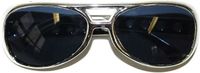 Funny Fashion Party/verkleed bril - metallic zilver - Rock and roll - Elvis
