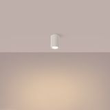 Sollux Lighting Plafondlamp Karbon - 10x6.5x6.5cm - GU10 - beige - aluminium