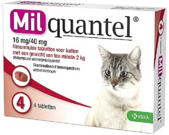 Milquantel Ontworming Kat Grote kat <gt/>2kg 4 tabletten