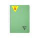 Clairefontaine 327501C Collectie Linicolor ESSENCE Notitieboek met Spiraalbinding - A5 14,8x21 cm - 180 Pagina's Kleine Ruitjes - Wit Papier 90 g - Polypro Omslag Transparant - Saliegroen