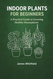 Indoor Plants for Beginners: A Practical Guide to Growing Healthy Houseplants