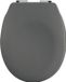 spirella Toiletbril Softclose - Duroplast WC Bril met Antislip Voetjes - Chroomafwerking - Matte Afwerking - Grijs