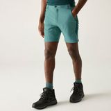 Regatta Bergshorts voor heren Groente