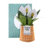 Pop-up Hallmark Pop-up Plantenkaart - Peace Lily Design