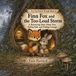 Finn Fox Libri GmbH Finn Fox Feels It Through- Finn Fox and the Too-Loud Storm Paperback