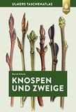 Knospen Ulmer Eugen Verlag Knospen und Zweige: 270 Gehölze im Winter bestimmen