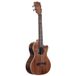 Kala KA-SA-TE C All Solid Acacia ténor ukulélé électro-acoustique en bois massif avec étui
