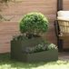 Maison Exclusive - Pot de plante de jardin, vert olive, 60 x 60 x 50 cm, en acier laminé à froid