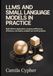 LLMs and Small Language Models in Practice: Build Efficient Applications Compare performance, optimize efficiency, and deploy scalable real-world Projects: 3