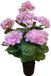 Merkloos Mansion Atmosphere Kunstplant Hortensia lichtroze 65cm