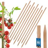 MK TRADING Michał Kotarba Kotarbau Houten Tomatenstokken - 80 CM - Set van 10