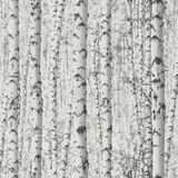 A.S. Création BERKENBOS BEHANG | Bomen - wit grijs zwart - Vliesbehang