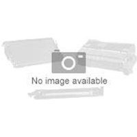 Evolis PVC Blank Pre-Punched Cards - 100 cards