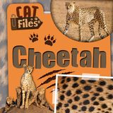 Cheetah Kidhaven Publishing Cat Files- Cheetah Paperback