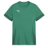Puma Teamgoal wedstrijdshirt voor kinderen jr 705748