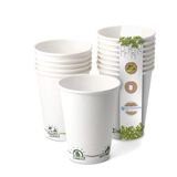 GREENBOX EcoUp© Icon en PLA coating, 50 bekers koffie wit, biologisch afbreekbaar, 150 ml, koffiebeker, drinkbeker, wegwerpbeker