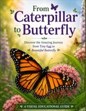From Caterpillar to Butterfly: Discover the Amazing Monarch Butterfly Life Cycle: A Full-Color Picture Book About Metamorphosis, Butterfly Stages, Nature Study and Homeschool Science