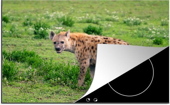 KitchenYeah® Inductie beschermer 77x51 cm - Hyena - Safari - Gras - Inductiebeschermer voor Inductie Kookplaat - Merkloos
