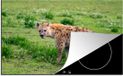 Merkloos KitchenYeah® Inductie beschermer 77x51 cm - Hyena - Safari - Gras - Inductiebeschermer voor Inductie Kookplaat - Merkloos