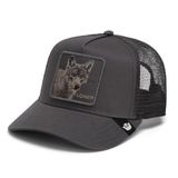 GOORIN Bros. Pet 'Circle Of Life - Loner' grijs / lichtgrijs / zwart