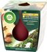 Air Wick Winterbos Kaars - 105g