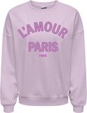 Jdy Mesa Life L/S O-Nk Emb Sweat JRS Noos