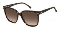 Carrera CARRERA 3002/S Havana Zonnebril Vrouwen Vierkant Kunststof Bruin