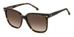 Carrera CARRERA 3002/S Havana Zonnebril Vrouwen Vierkant Kunststof Bruin