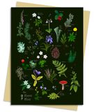 Anna Stead Forest Floor Greeting Card Pack