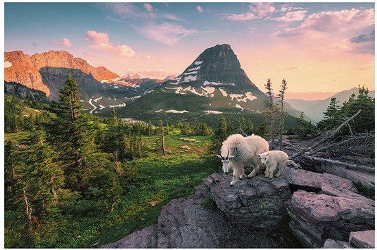 Ravensburger Puzzel Alpine geit met jong - Legpuzzel - 3000 stukjes