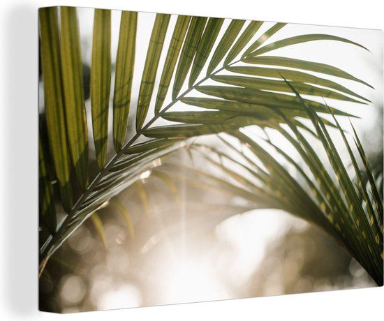 OneMillionCanvasses Canvas schilderij 150x100 cm - Palmboom - Palmblad - Zon - Zomer - Multicolor - Rechthoek