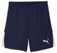 PUMA teamLIGA26 Shorts