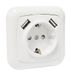 Schuko-docking station met 2 USB-poorten (2 x 1 A)
