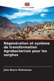 Régénération Editions Notre Savoir Régénération et système de transformation Agrobacterium pour les sorghos