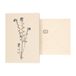 Carte avec enveloppe, myosotis
