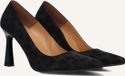Notre-V 2211 Hakken Dames - Zwart - Maat 35